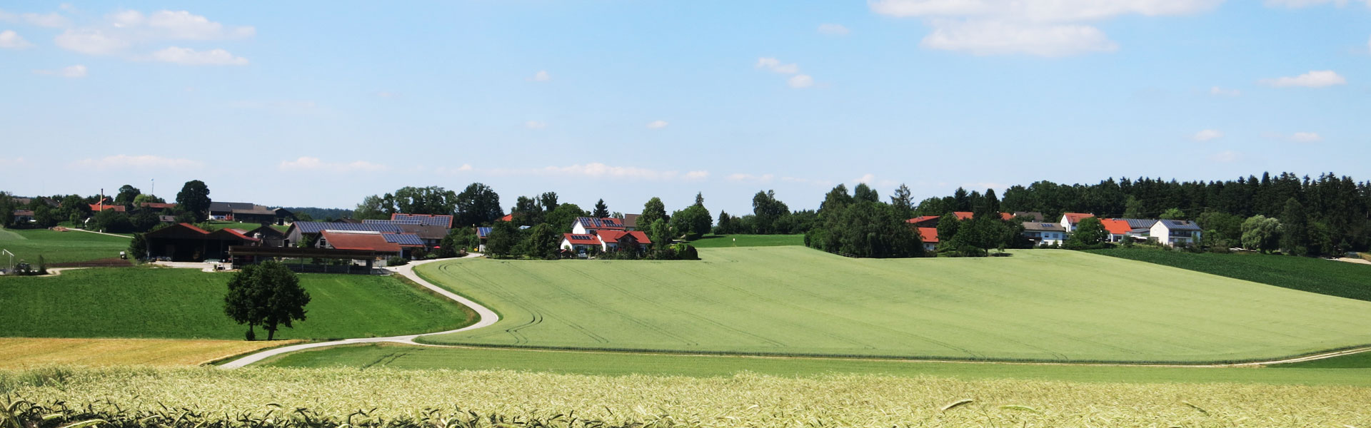 Header Kröning - Triendorf
