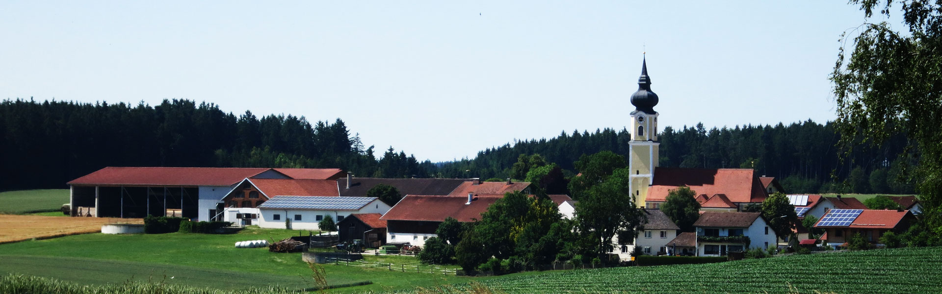 Header Kröning - Wippstetten