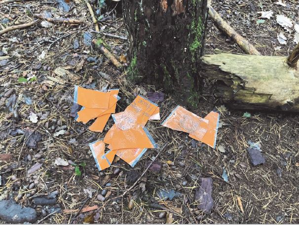 Zerstörung der Waldplätze